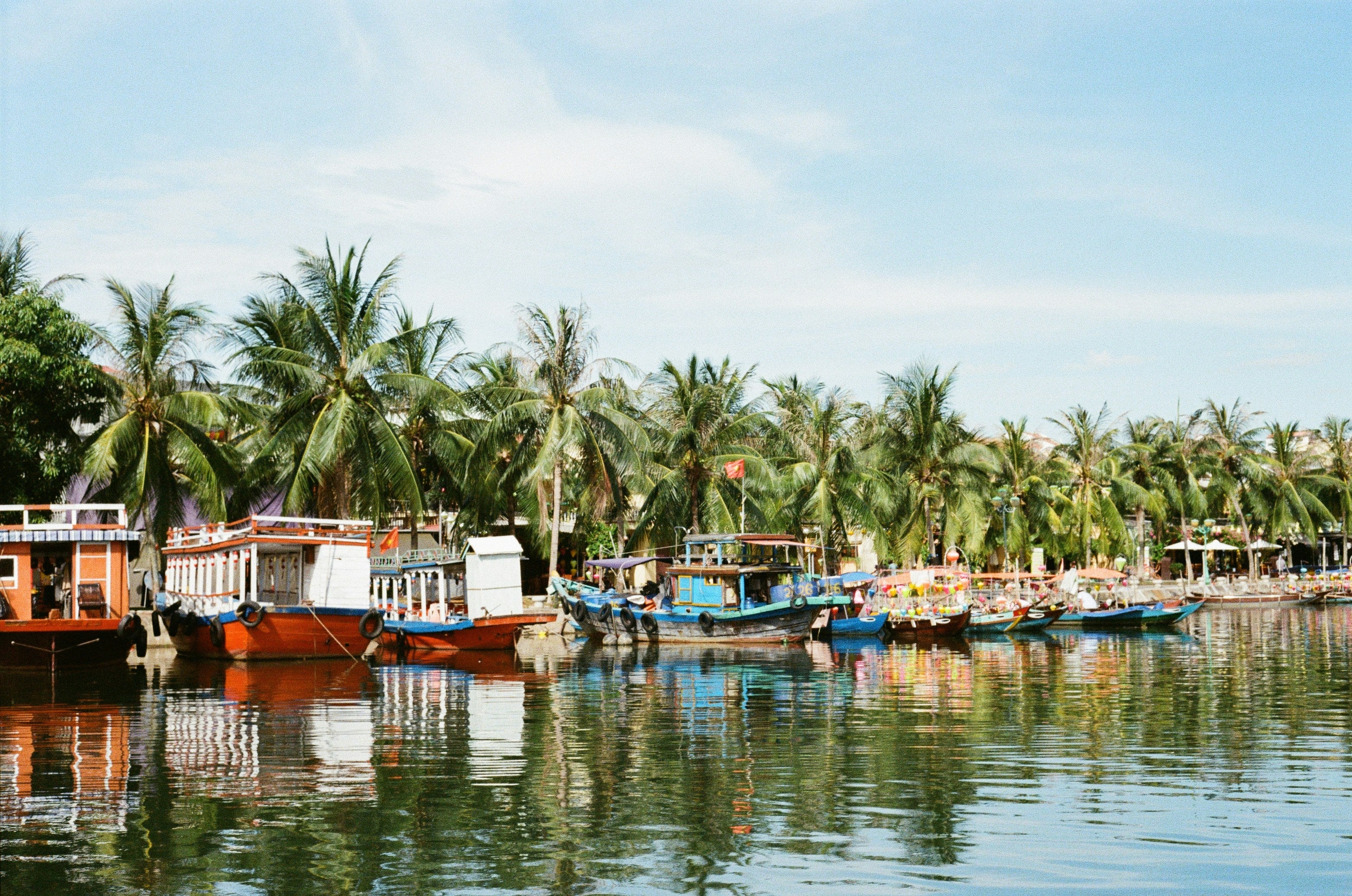 Boats docked along a river with palm trees in the background
